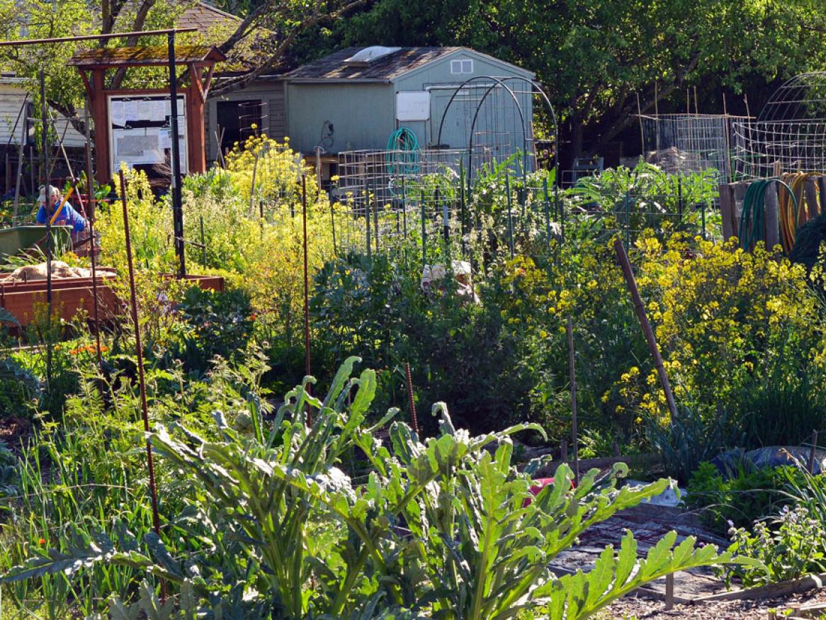 Urban garden image by Jacob Mills