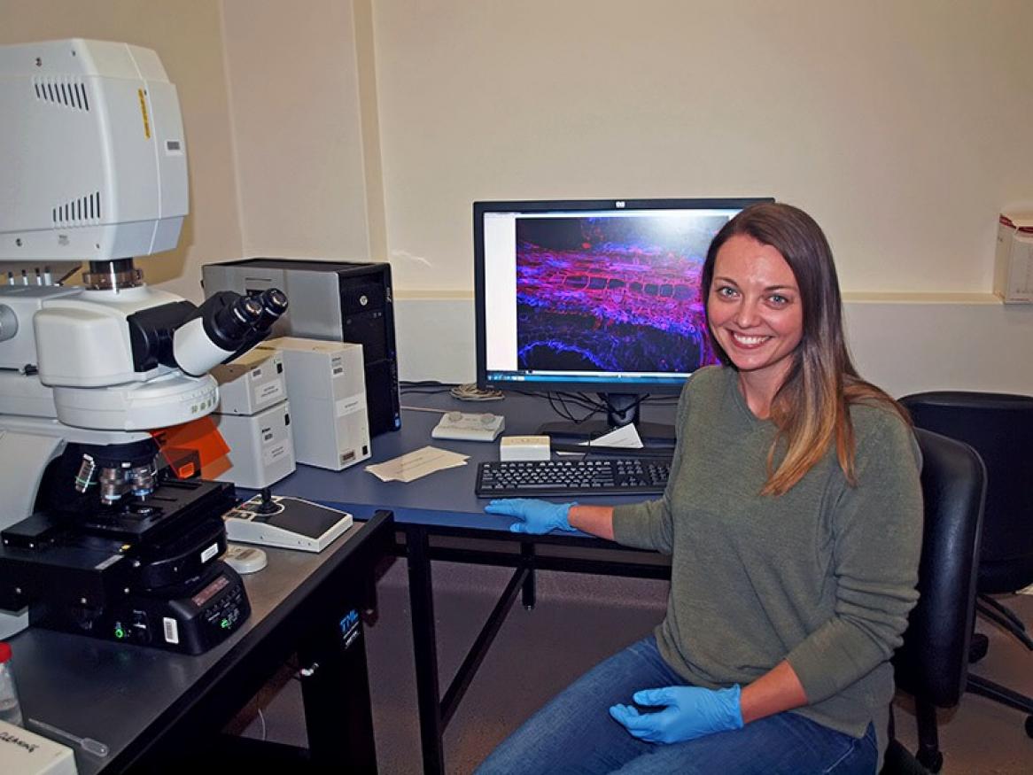 Kara Levin used confocal microscopy to generate 3D images of cereal cyst nematode infection in wheat roots