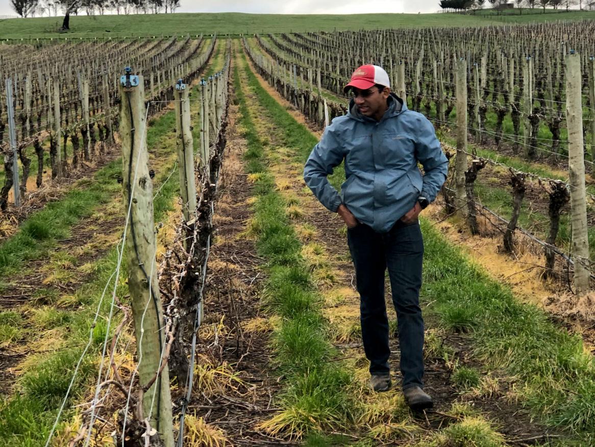 Dr Vinay Pagay, lecturer in viticulture and vineyard engineering from the School of Agriculture, Food and Wine at the University’s Waite campus