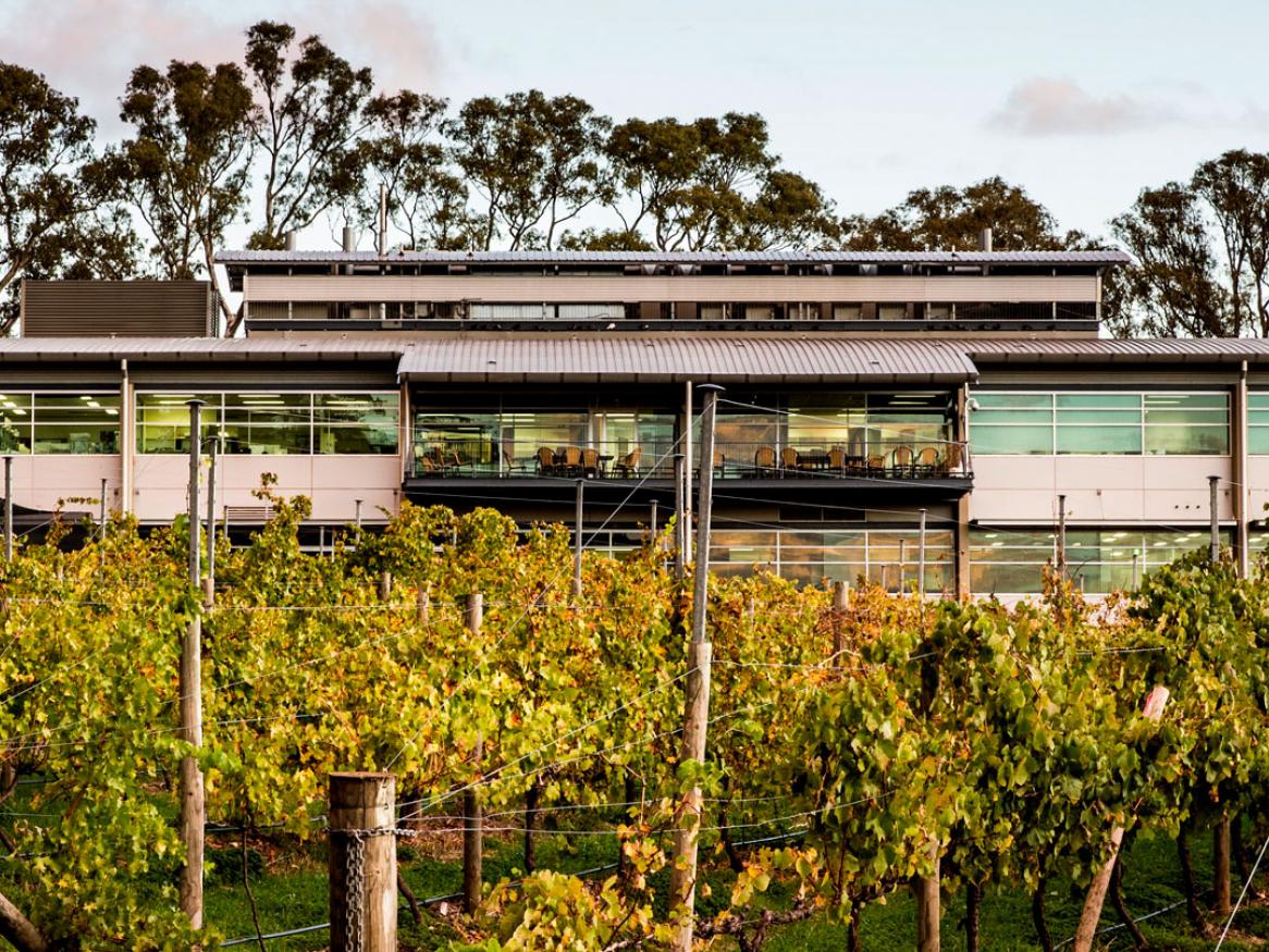Winery - Waite campus