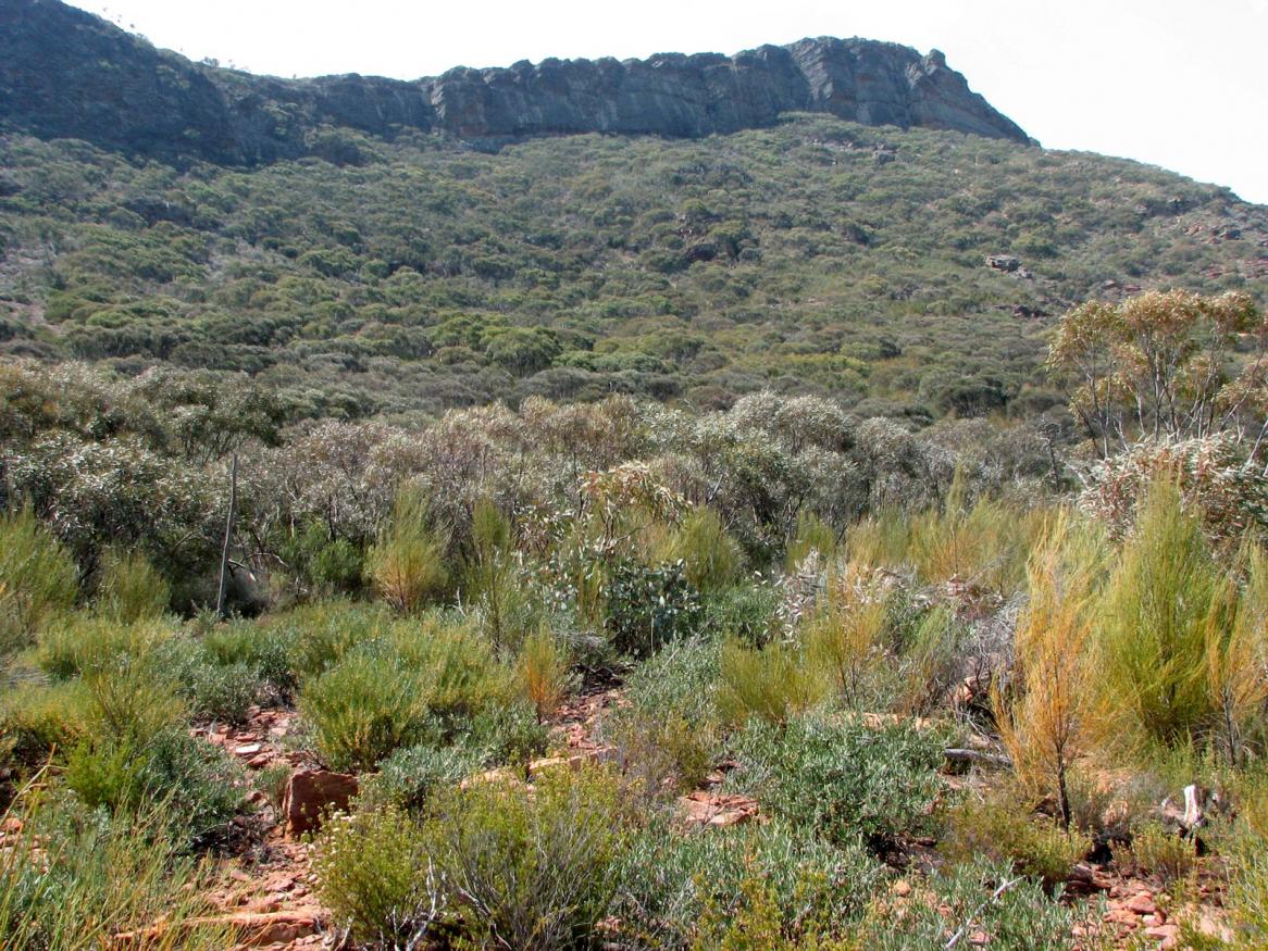 Honours in Environmental monitoring: Biodiversity sampling