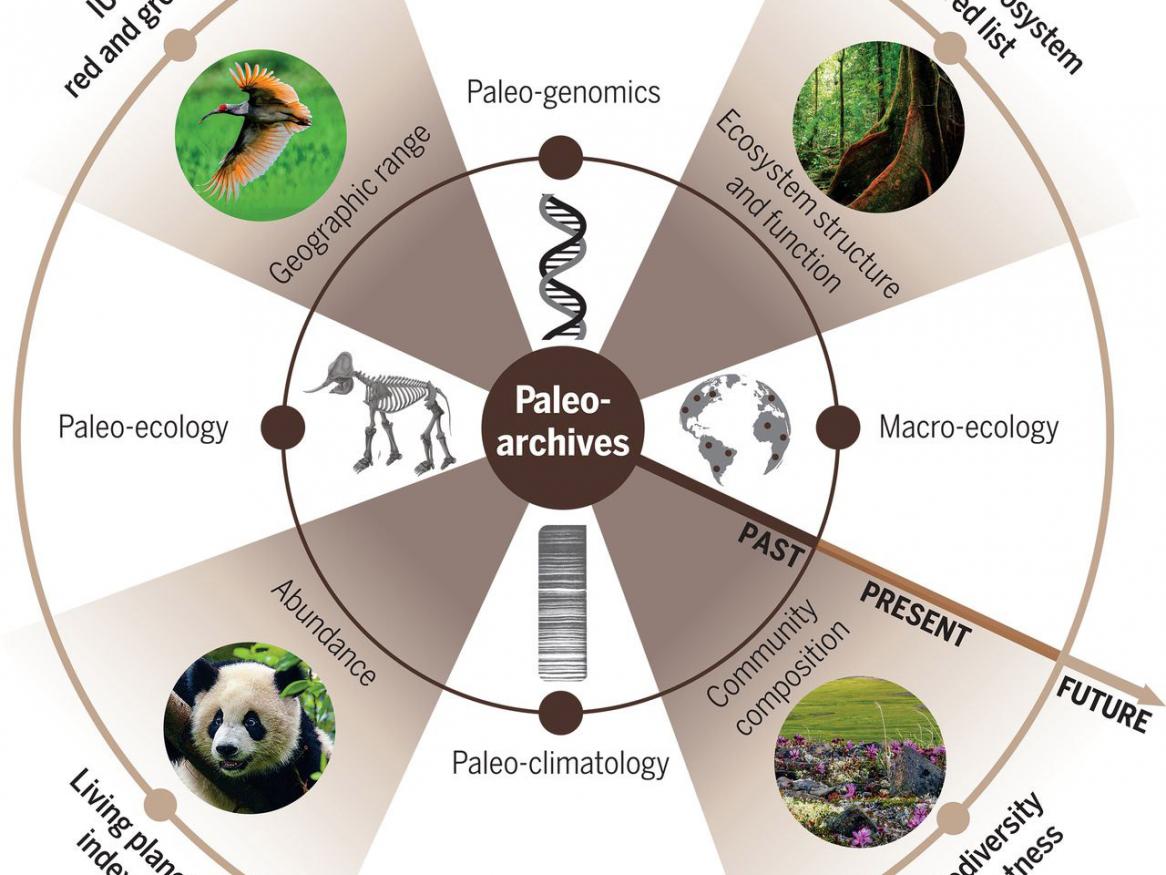Paleo-archives offer new prospects for benchmarking and maintaining future biodiversity.
