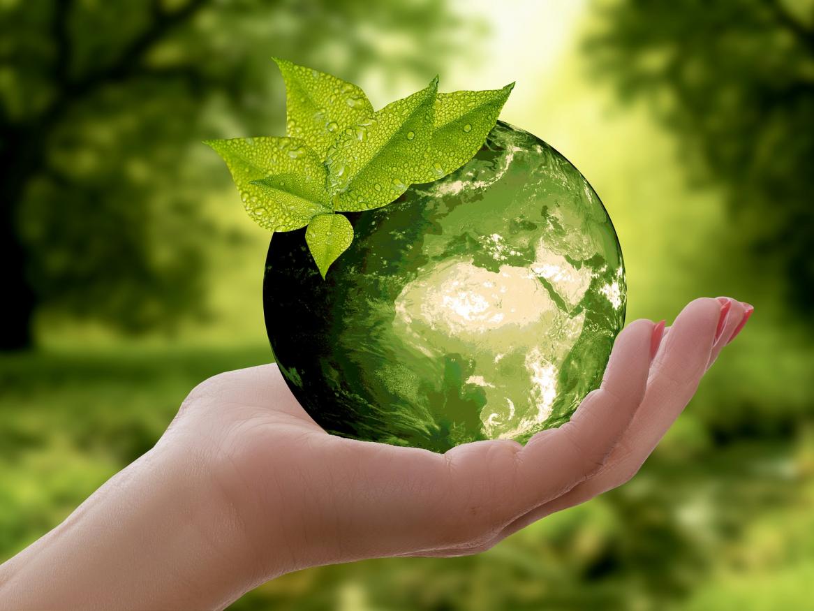 World Engineering Day for Sustainable Development