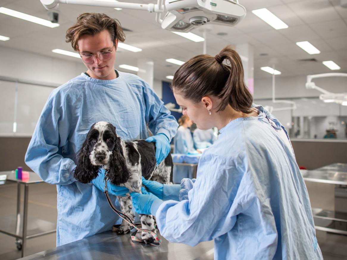Roseworthy vet students