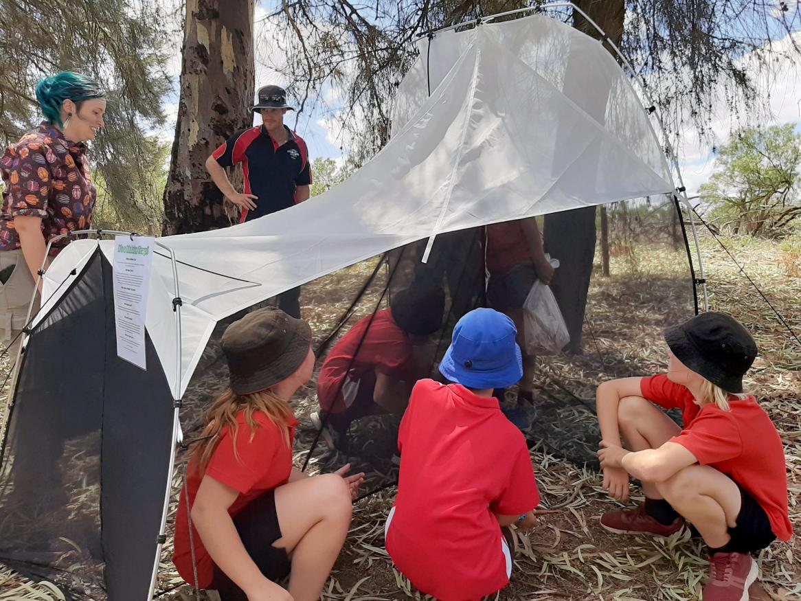 Ramco Primary School with their Malaise insect trap. Photo supplied by Ramco Primary.