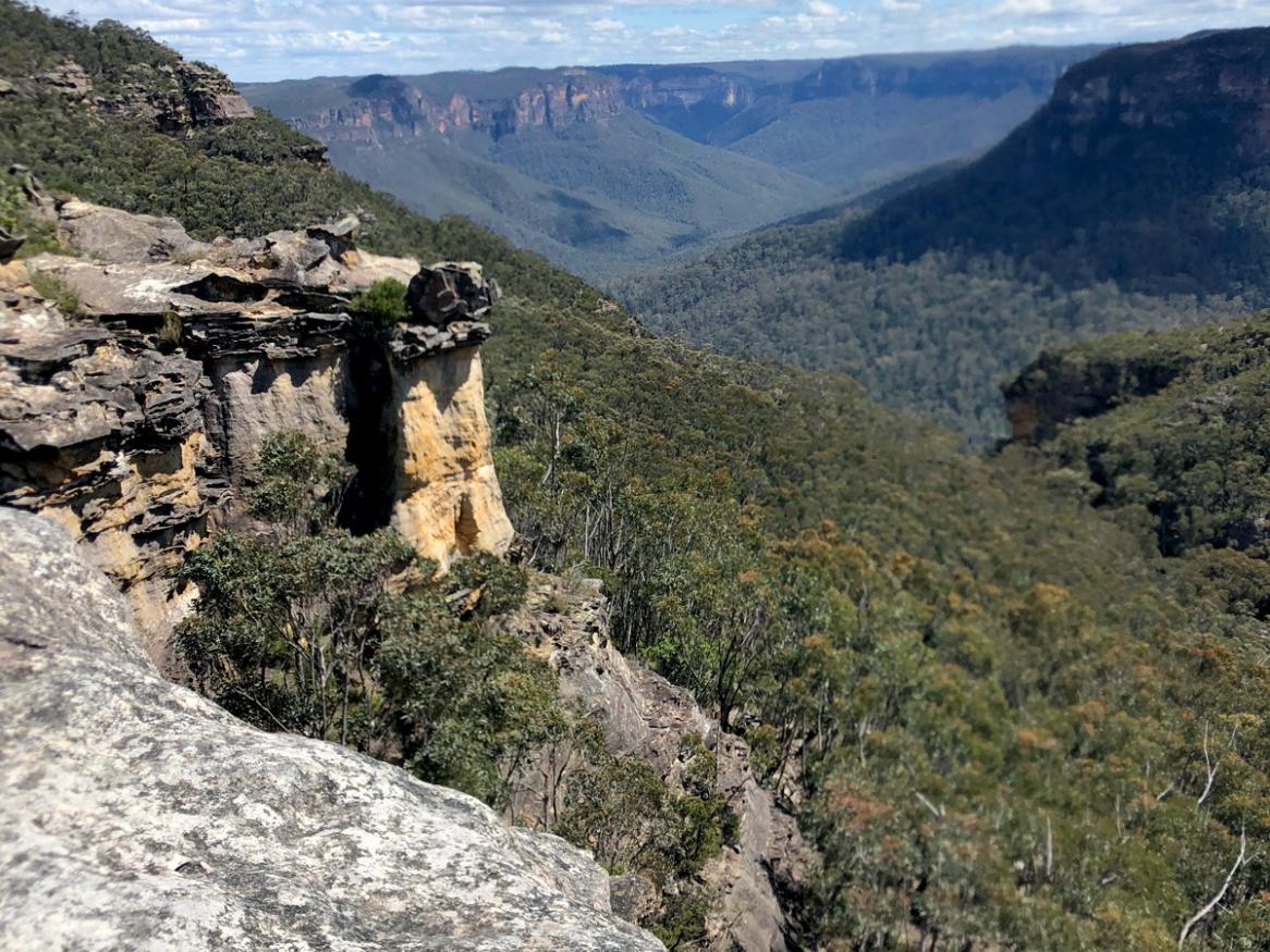 Blue Mountains Ashlea Doolette