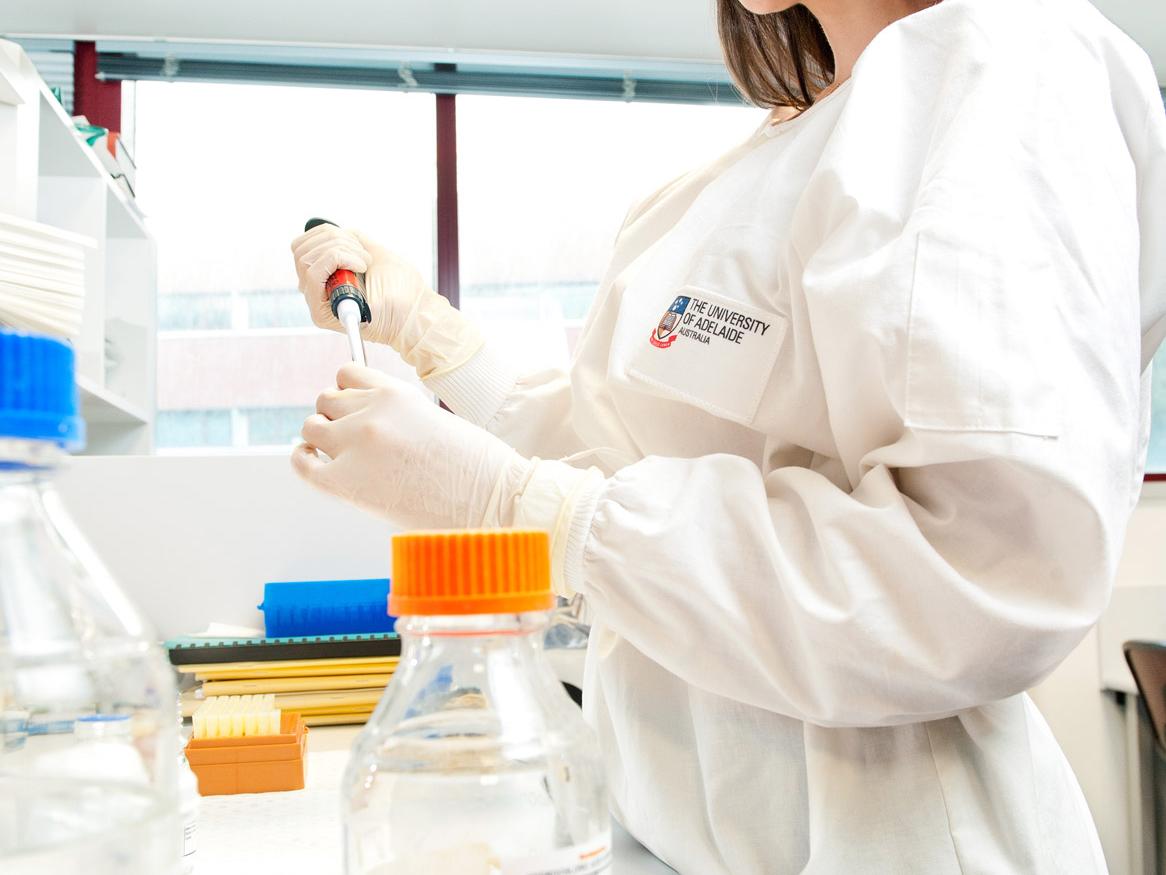 Biomedical sciences uni of adelaide