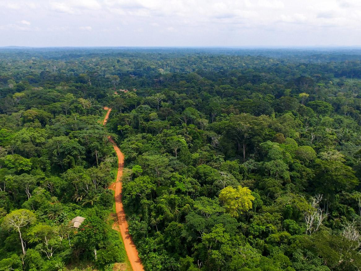 Cameroon forest aerial photo