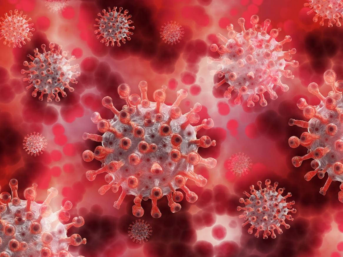 Coronavirus graphic. Image by Gerd Altmann, from Pixabay.