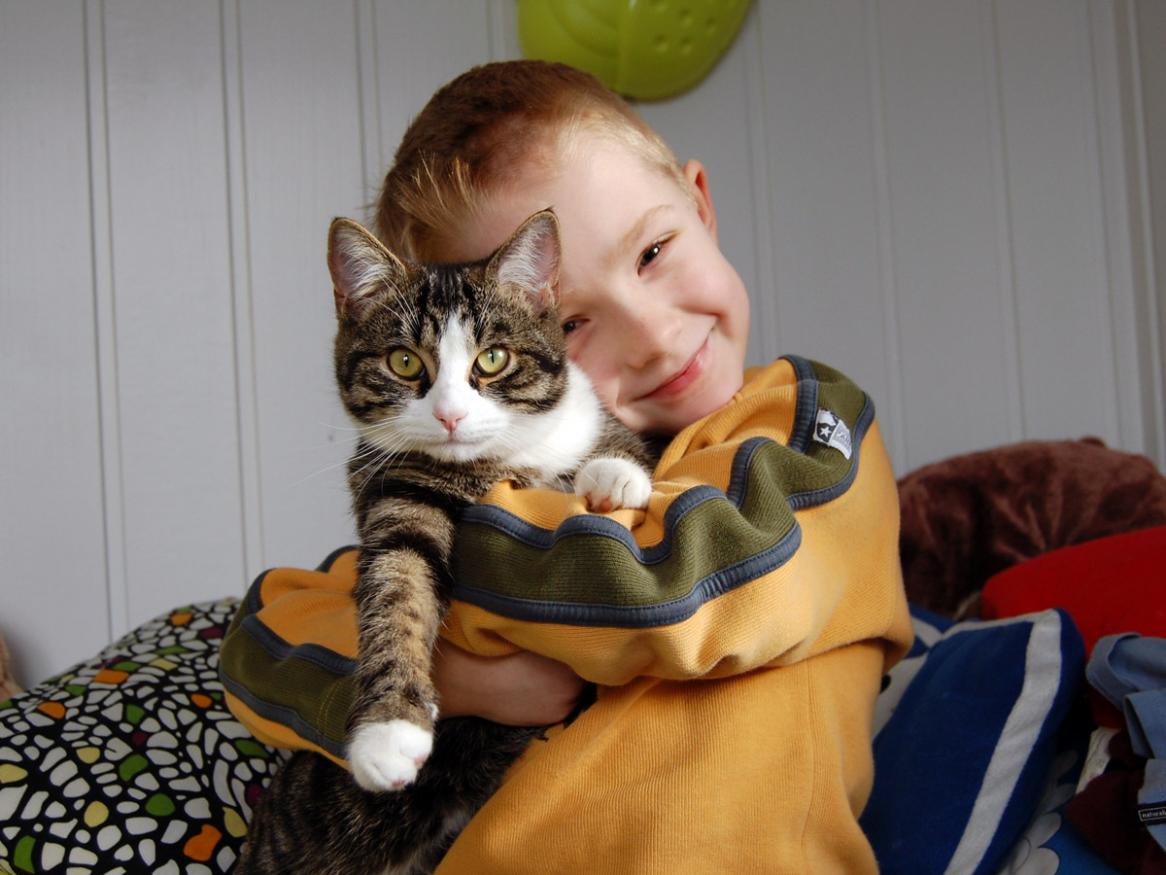 Cat hug Image by Markus Lehmann via Pixabay
