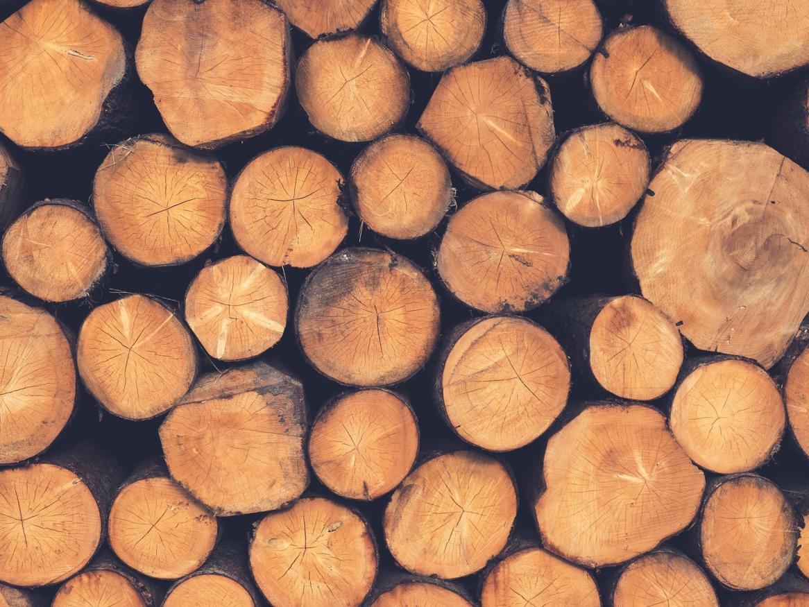Timber logs