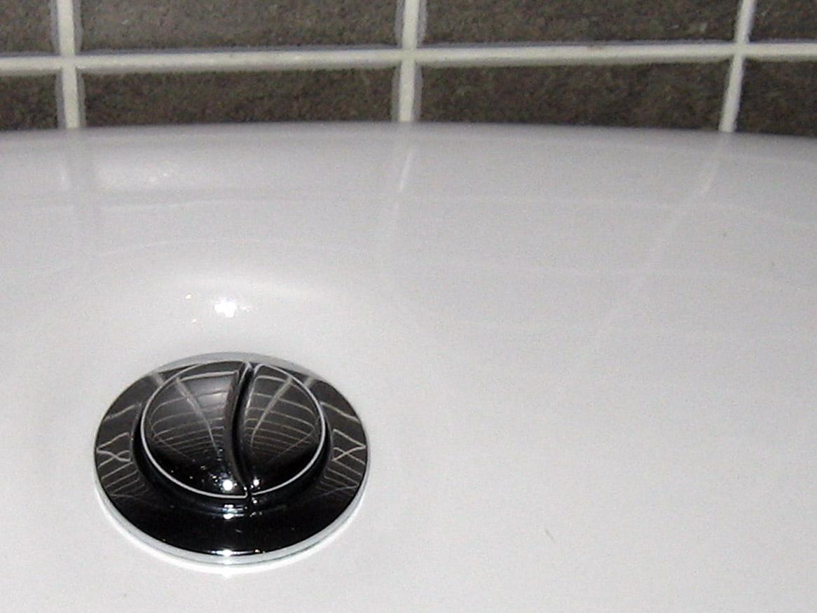 toilet buttons