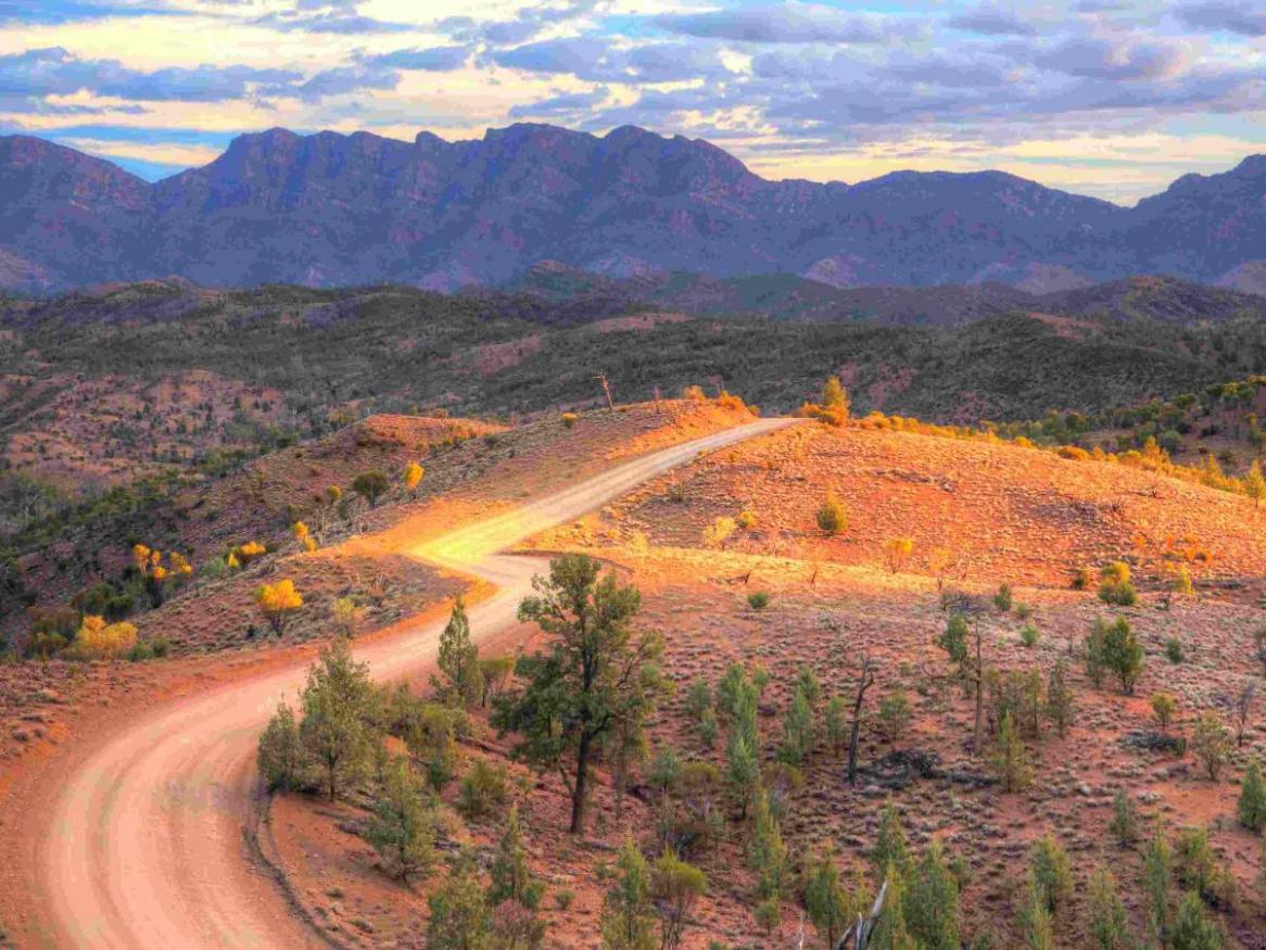 Ikara–Flinders Ranges National Park, South Australia. 