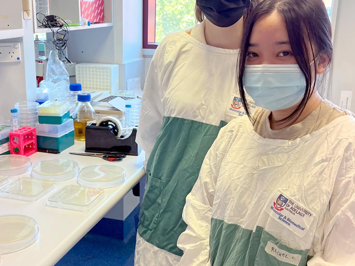 Summer research students Kate Whyte and Rachel Chin set out to find just how effective soap and hand sanitiser is against microbes, such as bacteria and viruses.