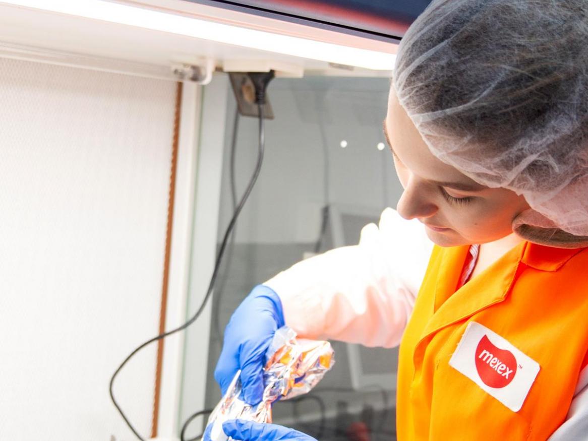 In their element | Food (science), glorious food (science): Millie Shinkfield