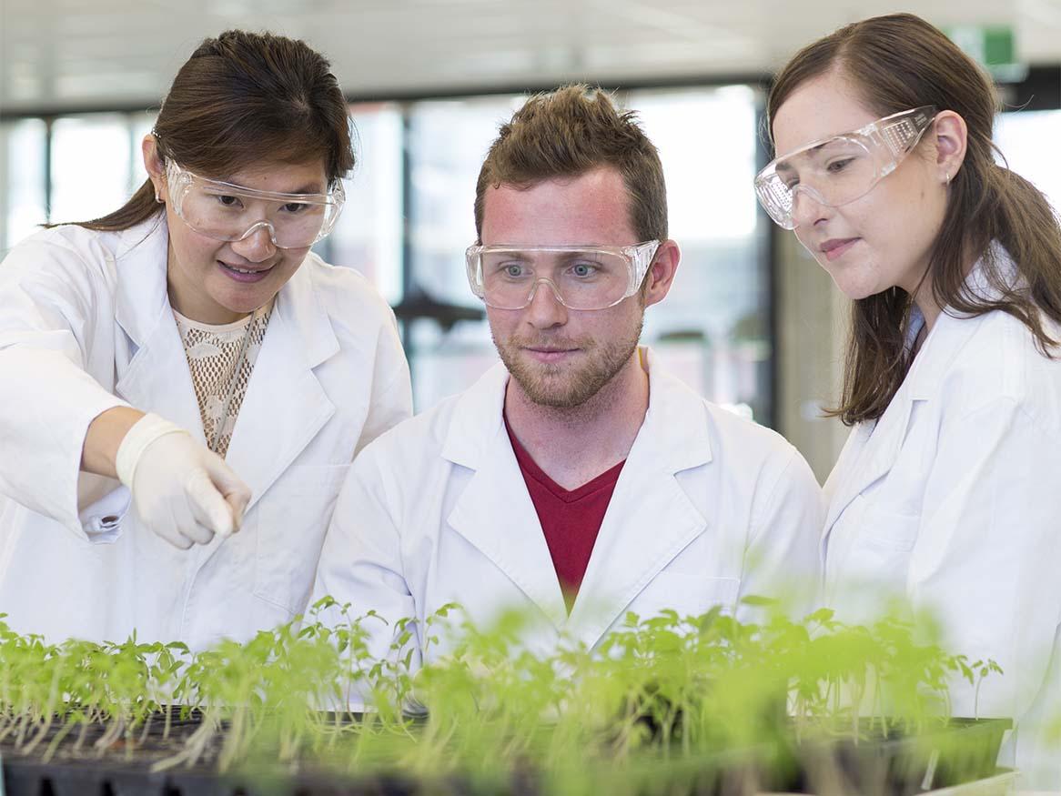 Students in lab
